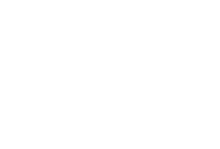 Driving in the Dream
